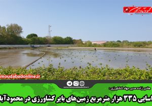 شناسایی ۳۳۵ هزار مترمربع زمین‌های بایر کشاورزی در محمودآباد