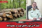 کشف ۷ تن چوب قاچاق چوب در محمودآباد