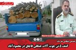 کشف ۵ تن چوب آلات جنگلی قاچاق در محمودآباد