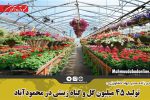 تولید ۴۵ میلیون گل و گیاه زینتی در محمودآباد