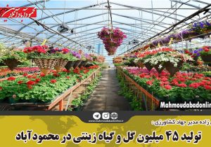تولید ۴۵ میلیون گل و گیاه زینتی در محمودآباد
