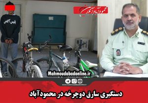 دستگیری سارق دوچرخه در محمودآباد
