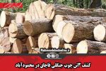 کشف ۳تن چوب جنگلی قاچاق در محمودآباد