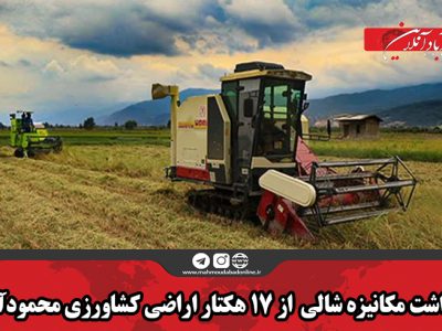 برداشت مکانیزه شالی  از ۱۷ هکتار اراضی کشاورزی محمودآباد