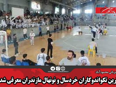 برترین تکواندوکاران خردسال و نونهال مازندران معرفی شدند