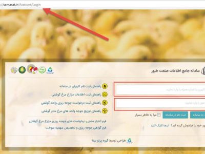 کسب رتبه دوم تحقق برش جوجه ریزی شهرستان محمودآباد در مازندران