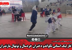 آغاز لیگ استانی تکواندو دختران خردسال و نونهال مازندران