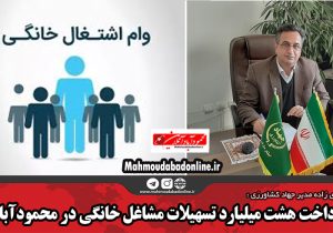 پرداخت هشت میلیارد تسهیلات مشاغل خانگی در محمودآباد