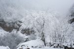 بارش برف و باران، امروز و فردا در مازندران ادامه دارد.