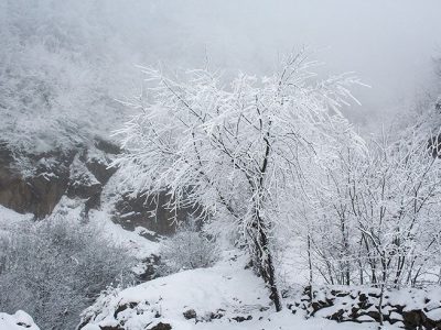 بارش برف و باران، امروز و فردا در مازندران ادامه دارد.