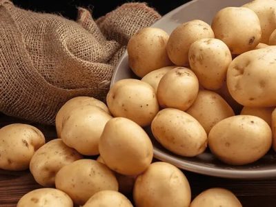 قیمت سیب‌زمینی به یک‌سال قبل برنمی‌گردد/ دولت در کار تولید و بازار سیب‌زمینی دخالت نکند