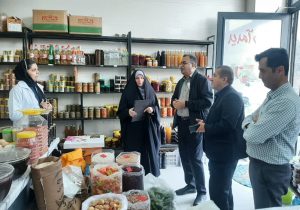 ز ترشیجات تا کارآفرینی برتر/ داستان موفقیت یک بانوی روستایی در محمودآباد