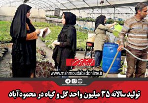 تولید سالانه ۳۵ میلیون واحد گل و گیاه در محمودآباد