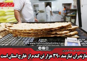 مازندران نیازمند ۳۹۰ هزار تن گندم از خارج استان است