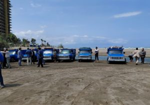 رهاسازی بچه ماهیان کپور در رودخانه خشت سر محمودآباد