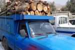 توقیف خودروی حامل چوب قاچاق در شهرستان محمودآباد