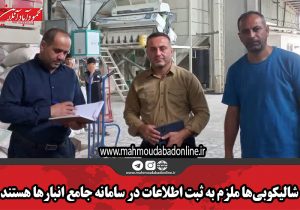 شالیکوبیها ملزم به ثبت اطلاعات در سامانه جامع انبارها هستند