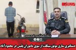 دستگیری سارق موتورسیکلت از سوی ماموران پلیس در محمودآباد