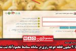 ۲/۵ میلیون قطعه جوجه ریزی در سامانه سماسط محمودآباد ثبت شد