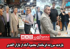 بررسی وضعیت کالاهای اساسی در محمودآباد