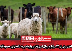 پرداخت بیش از ۱۲ میلیارد ریال تسهیلات پرواربندی به دامداران محمودآبادی