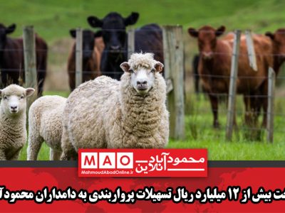 پرداخت بیش از ۱۲ میلیارد ریال تسهیلات پرواربندی به دامداران محمودآبادی