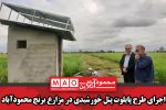 اجرای طرح پایلوت پنل‌ خورشیدی در مزارع برنج محمودآباد