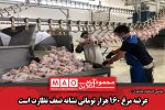عرضه مرغ ۱۶۰ هزار تومانی نشانه ضعف نظارت است