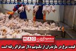 قیمت مرغ در مازندران از یک‌ونیم دلار هم فراتر رفته است