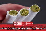 مخدر گل با ۱۰ برابر ماده موثر به بلای جان جوانان تبدیل شده‌ است