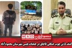 کشف ۵ تن چوب جنگلی قاچاق در عملیات پلیس شهرستان محمودآباد