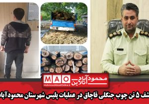 کشف ۵ تن چوب جنگلی قاچاق در عملیات پلیس شهرستان محمودآباد