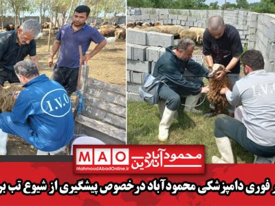 هشدار فوری دامپزشکی محمودآباد درخصوص پیشگیری از شیوع تب برفکی
