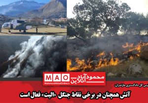 آتش همچنان در برخی نقاط جنگل «الیت» فعال است