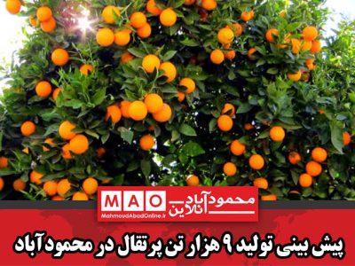 پیش بینی تولید ۹ هزار تن پرتقال در محمودآباد