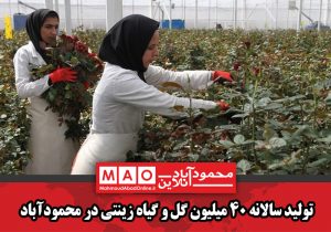 تولید سالانه ۴۰ میلیون گل و گیاه زینتی در محمودآباد