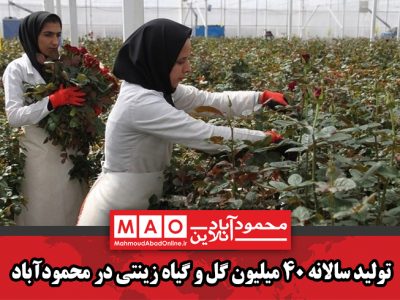 تولید سالانه ۴۰ میلیون گل و گیاه زینتی در محمودآباد