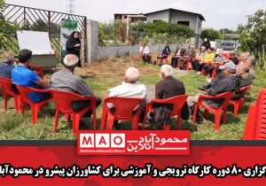 برگزاری ۸۰ دوره کارگاه ترویجی و آموزشی برای کشاورزان پیشرو در محمودآباد