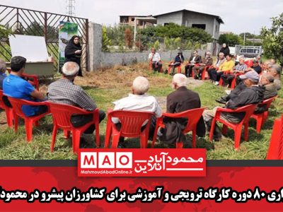 برگزاری ۸۰ دوره کارگاه ترویجی و آموزشی برای کشاورزان پیشرو در محمودآباد