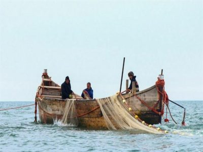 آغاز فصل صید ماهیان استخوانی در مازندران