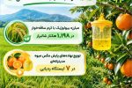 مبارزه بیولوژیک با کرم ساقه‌خوار در اراضی شالیزاری محمودآباد