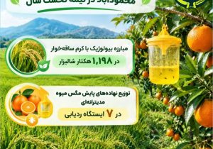 مبارزه بیولوژیک با کرم ساقه‌خوار در اراضی شالیزاری محمودآباد
