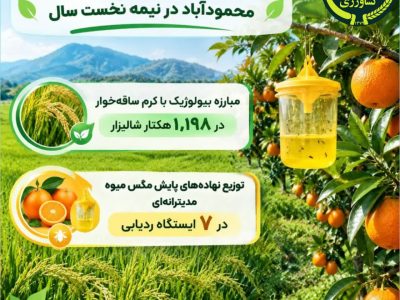 مبارزه بیولوژیک با کرم ساقه‌خوار در اراضی شالیزاری محمودآباد